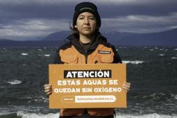 Patagonia Chilena © Martin Katz Greenpeace.jpg