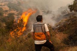 GPCH Incendios forestales Chile (1) © Cristobal Olivares Greenpeace.JPG