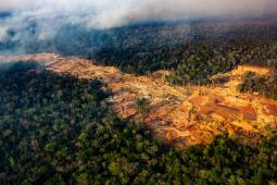 Minería en el Amazonas.jpg