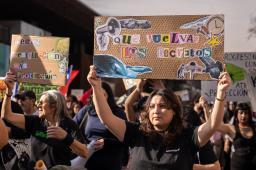 Ni Un Paso Atras 01 © Sofia Yanjari Greenpeace.jpg