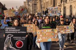 Ni Un Paso Atras 02 © Sofia Yanjari Greenpeace.jpg