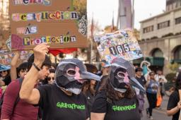 Ni Un Paso Atras 04 © Sofia Yanjari Greenpeace.jpg