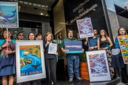 2025 No a Dominga Ministerio de Ambiente Crédito Cristóbal Olivares Greenpeace (2).jpg