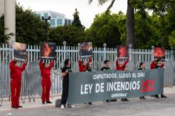 GPC Ley de Incendios Greenpeace 07.jpg