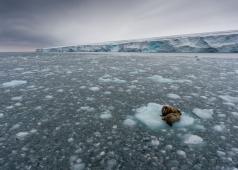 Cambio Climatico Archipielago de Svalbard.jpg
