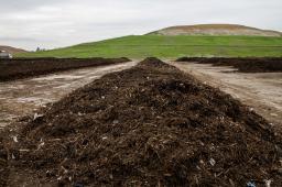 Gestion residuos compostables San Francisco © Brad Wenner Greenpeace (15).jpg