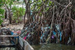 GPCO Contaminación Manglares Santa Marta Crédito Martín Katz Greenpeace (16).jpg