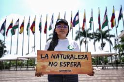 GPCO Rompecabezas Parque Panamericano Crédito Nathalia Angarita Greenpeace (6).jpg