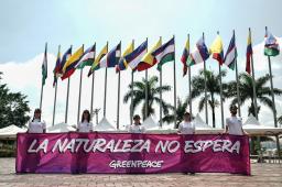 _GPCO Rompecabezas Parque Panamericano Crédito Nathalia Angarita Greenpeace (5).jpg