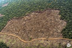 _Amazonas Colombia Crédito Gentileza FCDS (6).jpg