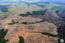 __Amazonas Colombia Crédito Gentileza FCDS (7).jpg