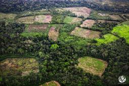 __Amazonas Colombia Macarena Crédito Gentileza FCDS.jpg