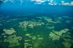 _Deforestación PNN La Macarena Crédito Nicole Acuña Greenpeace (8).jpg
