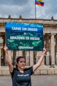 ___Ley de Trazabilidad Plaza Bolívar Crédito Álvaro Salamanca Greenpeace (2).jpg