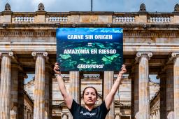 ____Ley de Trazabilidad Plaza Bolívar Crédito Álvaro Salamanca Greenpeace.jpg
