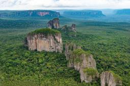 Parque Natural Serranías de Chiribiquete Gentileza Daniel Rosengren - FZS (3).jpg