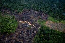Deforestación Amazonas © Christian Braga Greenpeace.JPG