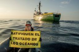 Tratado Océanos © Tomás Munita  Greenpeace.jpg
