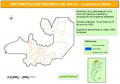 Mapa Desmontes en Salta del 15 de marzo al 15 de junio 2020.jpg