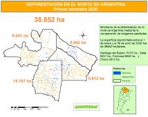 DeforestacionSatelital.jpg
