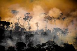 Cambio Climático . Incendios Amazonas..jpg