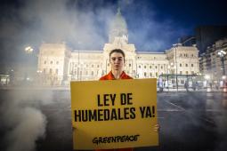 _GPA Accion Humedales BA Martin Katz Greenpeace (1).jpg