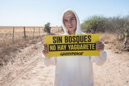 _GPA Temas Ambientales Argentina 2022 Deforestación (3).jpg