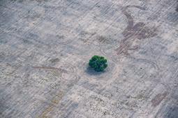 Deforestacion Norte Argentino.jpg