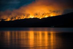 GPA Incendio Los Alerces Crédito Martín Levicoy Greenpeace (4).JPG