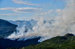 GPA Incendios Los Alerces Crédito Maxi Jonas Greenpeace (3).JPG