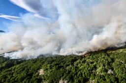 GPA Incendios Los Alerces Crédito Maxi Jonas Greenpeace (5).JPG