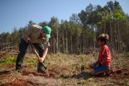 GPA Reforestación Selva Misiones Crédito Martín Katz Greenpeace.jpg