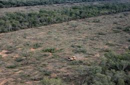 _GPA Deforestación Santiago del Estero Familia Canido Crédito Osvaldo Tesoro Greenpeace.jpg