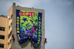 GP Banner Acción por la Naturaleza COP16 Crédito Jair F. Coll Greenpeace (4).jpg