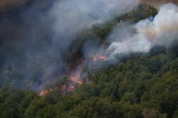 Incendios en PN Lanin © Federico Soto Greenpeace 01 (4).jpg