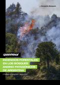 portada del informe.jpg