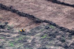 Desmontes Chaco 02 © Martin Katz | Greenpeace.jpg