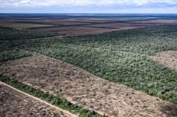 Desmontes Chaco 04 © Martin Katz | Greenpeace.jpg
