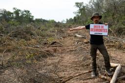 Desmontes Chaco 09 © Martin Katz | Greenpeace.jpg
