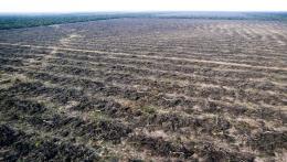 Desmontes Chaco 02 © Martin Katz | Greenpeace.jpg