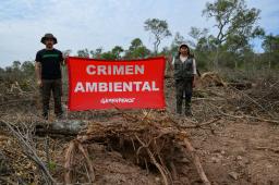 Desmontes Chaco 10 © Martin Katz | Greenpeace.jpg