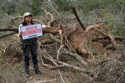 Desmontes Chaco 13 © Martin Katz | Greenpeace.jpg