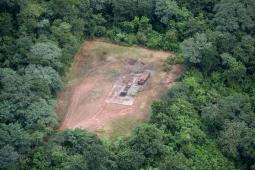 Petroleo en PN Calilegua 08 © Martin Katz | Greenpeace.jpg