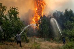 Incendios en El Bolson © Marcelo Martinez Greenpeace 01.jpg