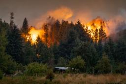 Incendios en El Bolson © Marcelo Martinez Greenpeace 03.jpg