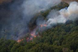 Incendios en PN Lanin © Federico Soto Greenpeace 01.jpg