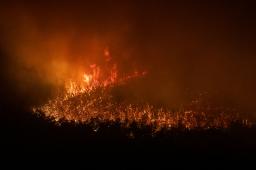 Incendios en PN Lanin © Federico Soto Greenpeace 04.jpg