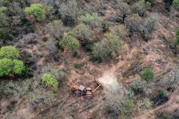 Finca 2 Desmonte limitrofe con Chaco 02 © Martin Katz Greenpeace.jpg