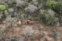 Finca 2 Desmonte limitrofe con Chaco 03 © Martin Katz Greenpeace.jpg
