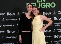 Animales en Peligro 16 © Martin Katz : Greenpeace.jpg